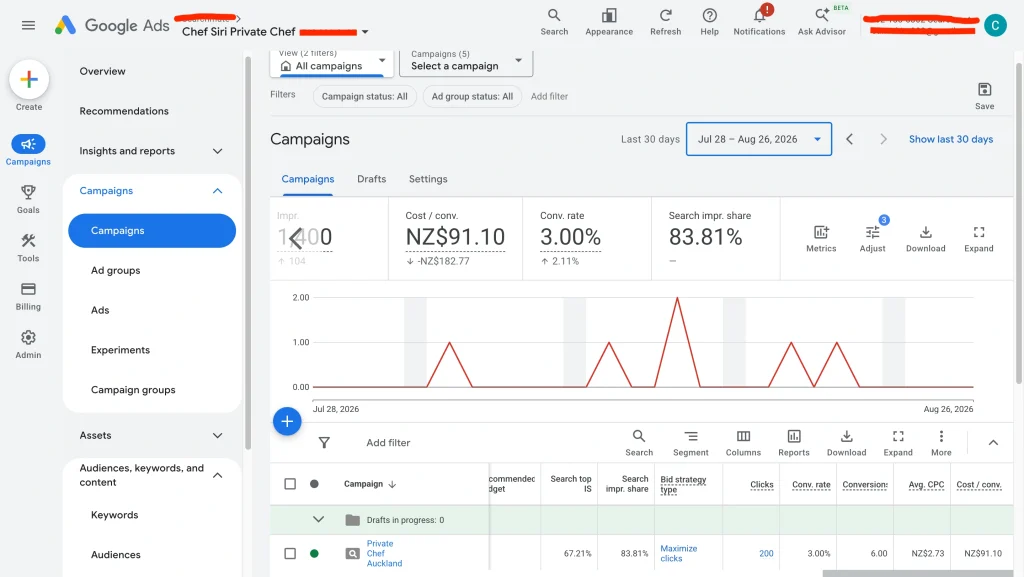 chef-siri-30-days-latestgoogle-ads-performance